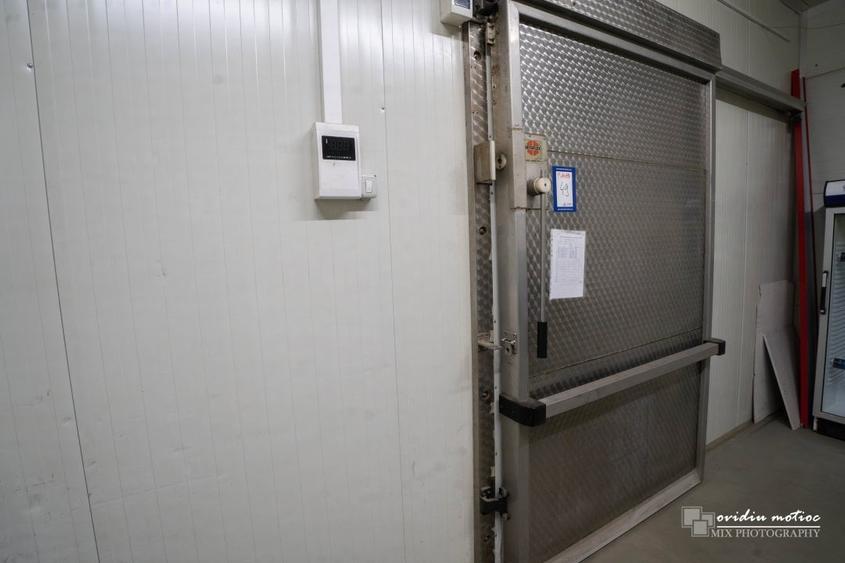 Depozit frigorific, congelare sau refrigerare - 4