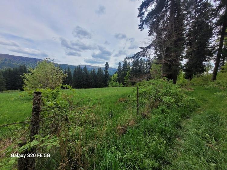 Teren intravilan de vanzare in Busteni - 5