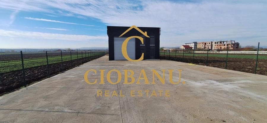 Hala de vanzare in Racari de Jos - 17