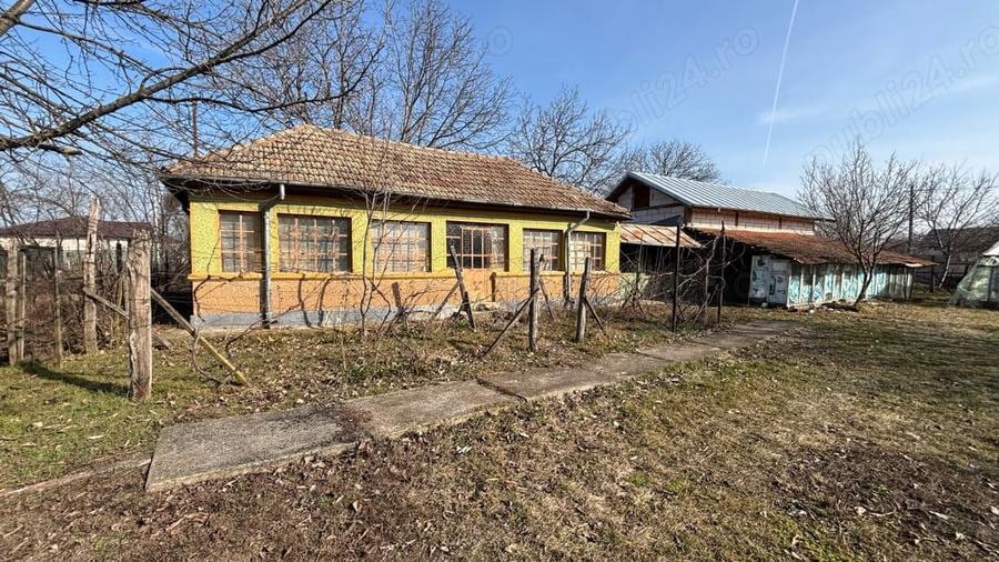 PROPRIETAR - Vand teren + casa comuna Dascalu - 3