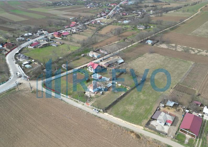 Teren de vanzare, Sat Bazga, Com. Horge?ti, Bacau - 9