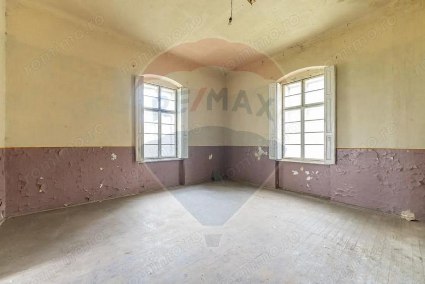 Conac aristocratic secolul XIX , domeniu 2,5 hectare Pauli?, Arad - 4