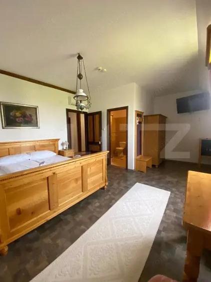 Conac de vanzare 7 camere, baie proprie, crama, ciubar ?i poten?ial - 2
