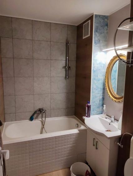 Garsoniera Aluminei, Rogerius - 5