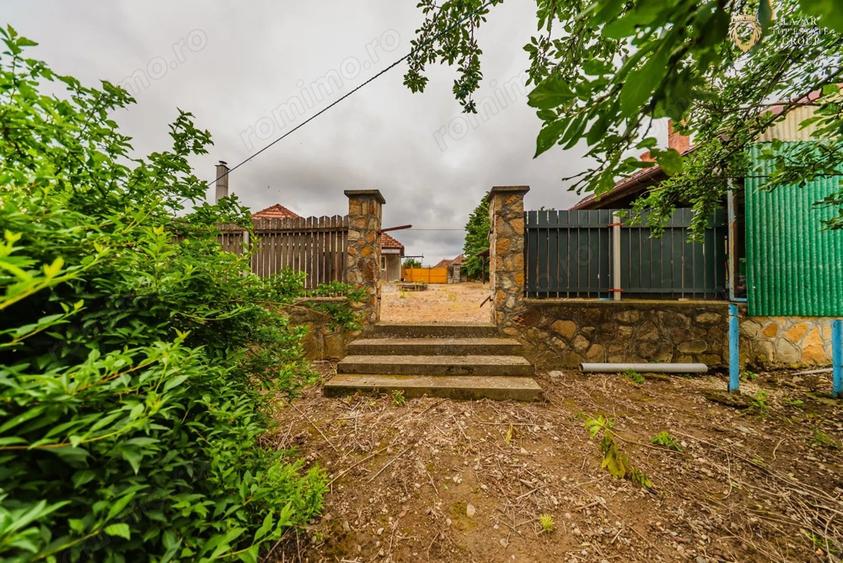Casa 3 camere de vanzare in Minis - 2