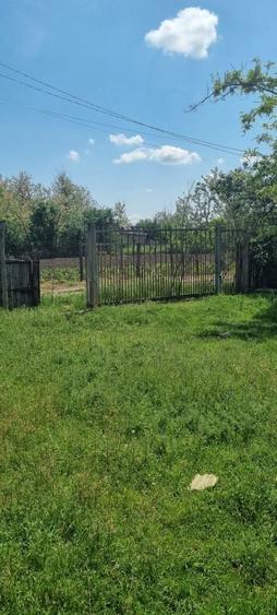 NOU !!! Vind Teren com. Ileana judetul Calarasi !! Discutabil!! - 3