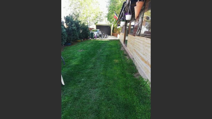 COMISION 0% - CASA P+1 ,PARTER RENOVAT 2025, VANATORI - 8