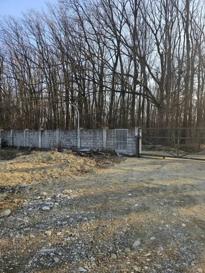 Teren de vanzare in Corbeanca - 3937 mp, amplasat intr-un cartier rezidential. - 3