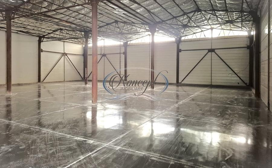 Hala ideala pentru productie sau logistica, pe Calea Baciului - 5
