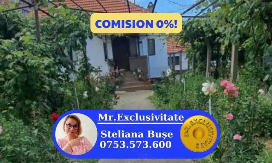 Gospodarie cu doua case ?i teren generos la ?ara ?omane?ti, Gorj - 8