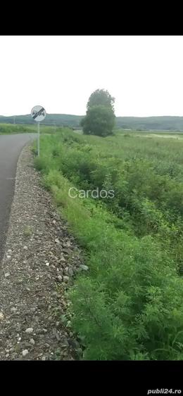 Arendez teren 1,20 hectar la pod Ardusat