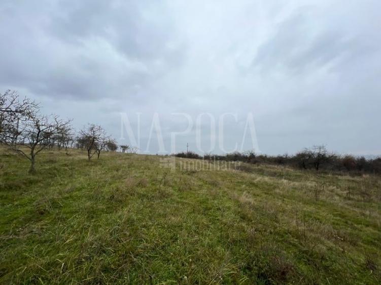 Teren intravilan pentru constructii de vanzare in Feleacu - 2