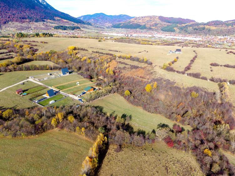 Teren intravilan 2500mp Tohanita Zarnesti- ideal casa de vacanta - 2