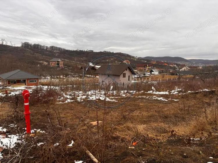 Teren Intravilan 550mp Valea Rusului - 2