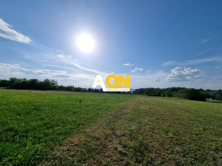 De vanzare 1974mp teren intravilan, cu utilitati, Oarda de Sus - 1