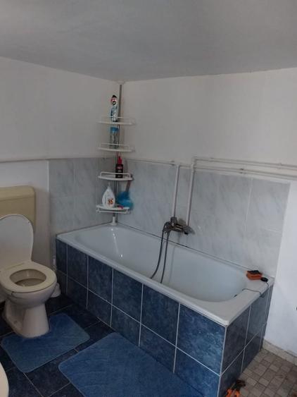 Vand casa in jud. Timis, com Margina, sat Costeiu de sus - 6