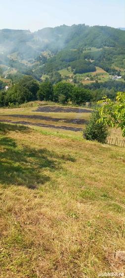 Casa locuibila + teren 8900 mp, utilita?i, anexa, livada-toate actele. - 2