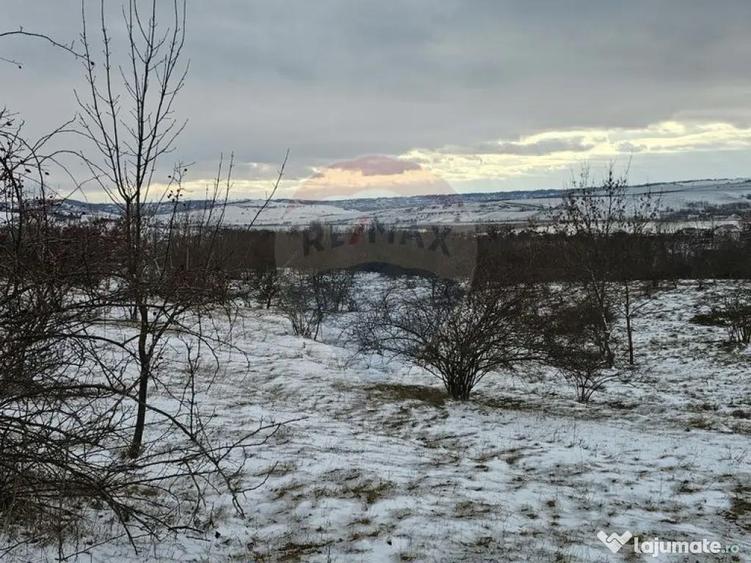 Teren 10,000mp Rada?eni / ?oseaua DN2-E85, jude?ul S... - 5