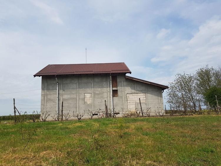 Lehliu Gara. vila cu teren 36.000mp - 3