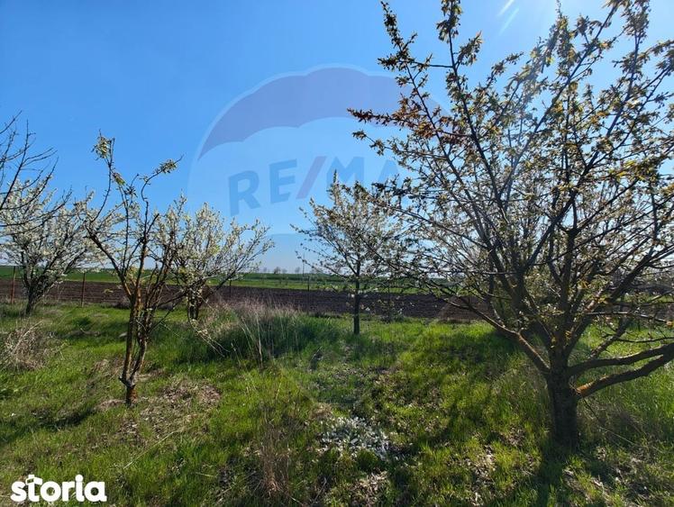 Casa de vanzare cu teren de 2175 mp,anexe si livada generoasa | Mailat - 12