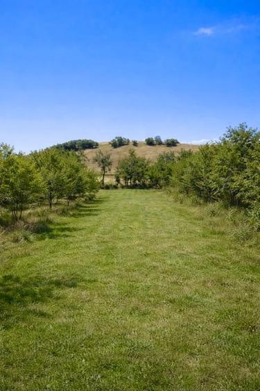 Teren intravilan panoramic de vânzare – Buzad, Timis - 8