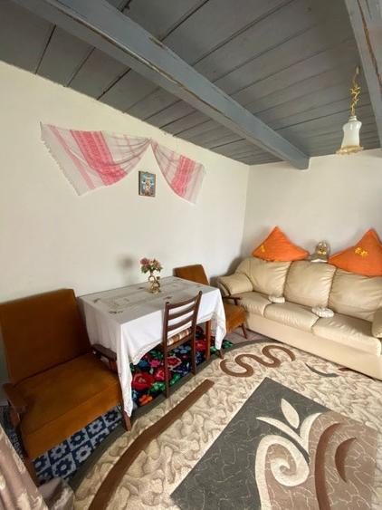 Casa noua + casa renovata in Cucorani - 8