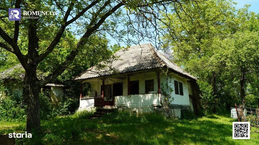Casa traditionala in Sat Opresti, comuna Stalpeni, Arges - 13