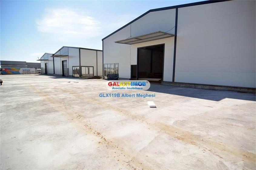 Vanzare Hala Depozitare 565 mp Afumati - 4
