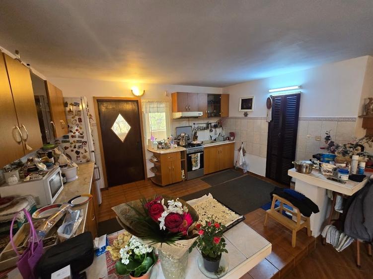 Magurele/Darasti-Ilfov/Vila individula cu crama,garaj,foisor,livada si solar - 11