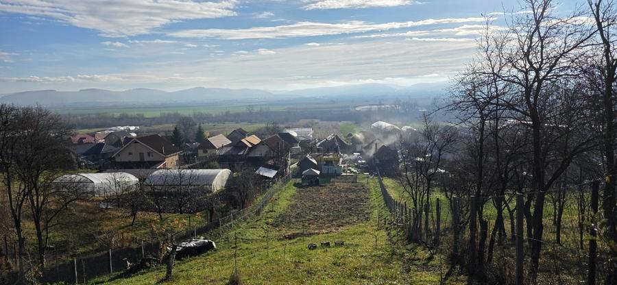 Proprietate deosebită în sat Chinari – Sântana de Mureș - 1