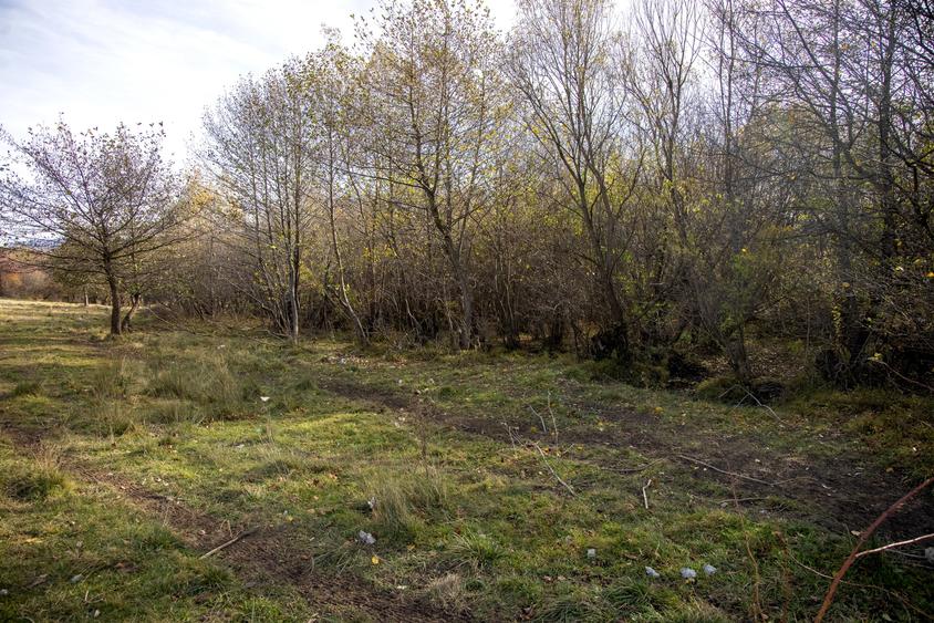 Teren intravilan 2500mp Tohanita Zarnesti- ideal casa de vacanta - 11