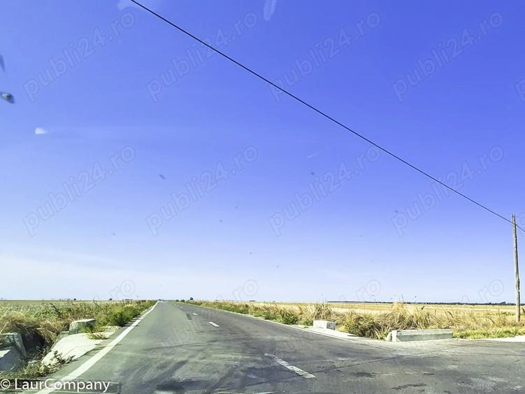Teren de 120000 mp, în Teiu