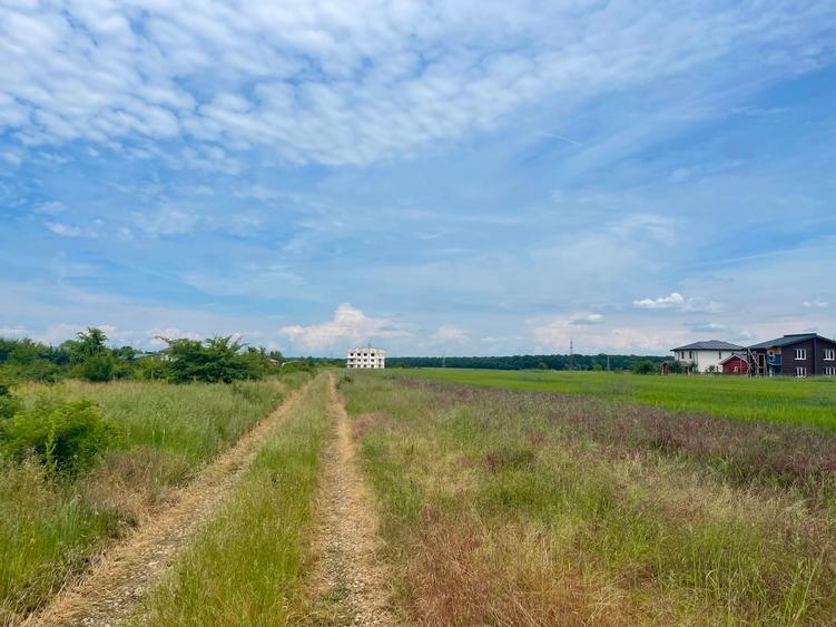 Teren Construcții intravilan de 22000 mp, în Dumbrăveni