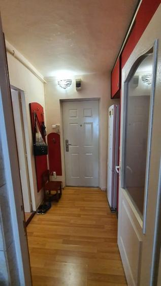 Apartament cu 2 camere semidecomandat, mobilat în Mănăștur