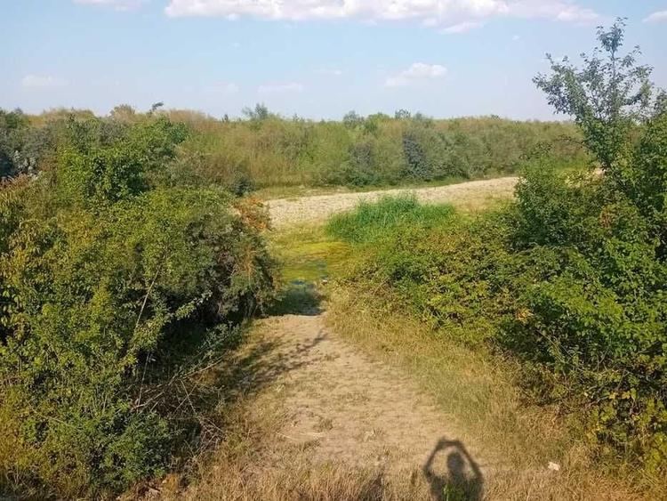 Spațiu comercial, în Filipeștii de Pădure