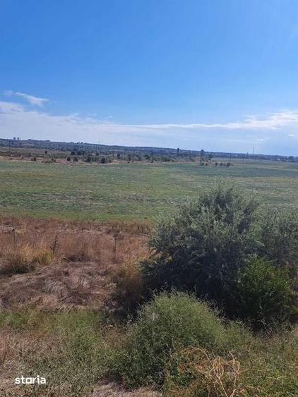 Teren de 200000 mp, în Agigea