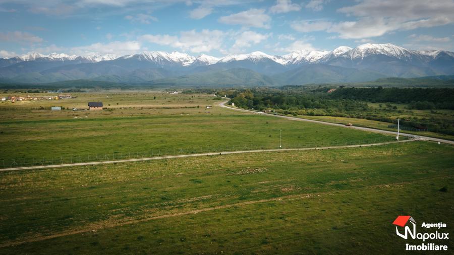 Teren Construcții intravilan de 5300 mp, în Avrig