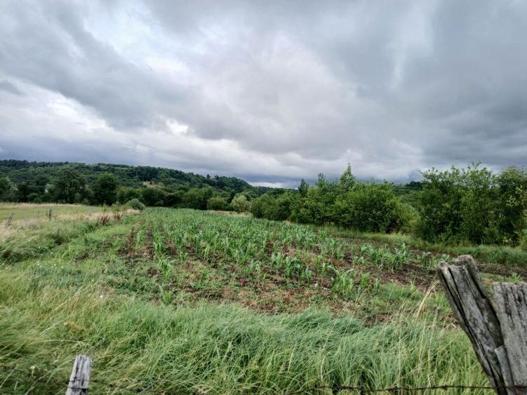 Casă cu 4 camere în Dorolea