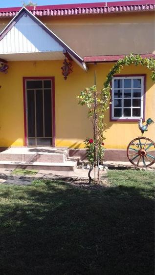 Vanda casa judetul Constanta,comuna Oltina - 6