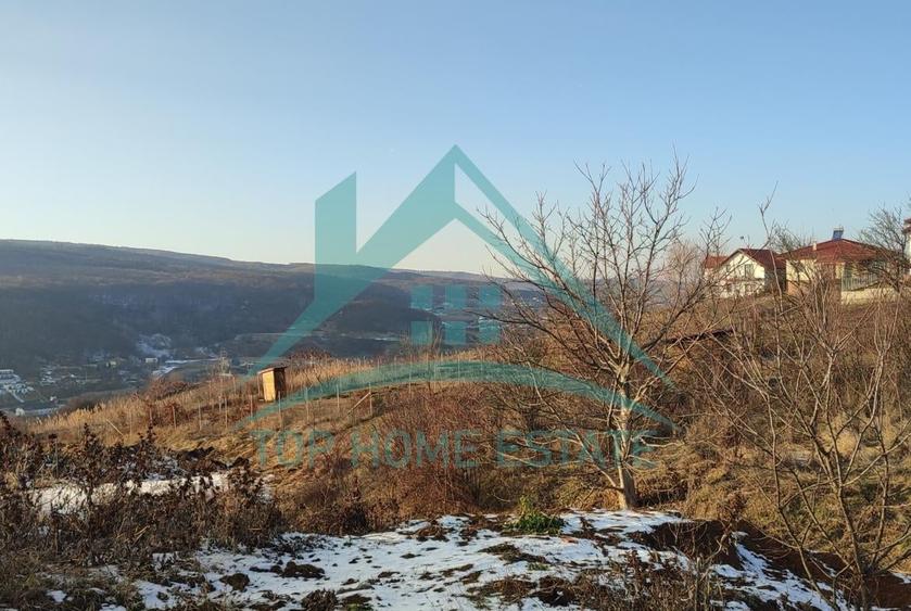 Teren agricol extravilan de 1500 mp, în Baciu