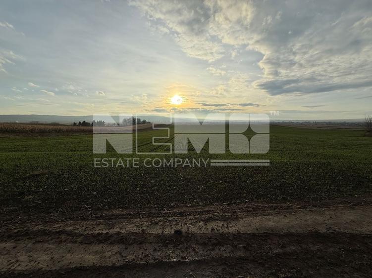 Teren agricol extravilan de 12400000 mp, în Grănicești