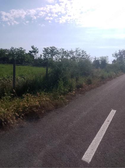 Teren de 1000 mp, în Măicănești