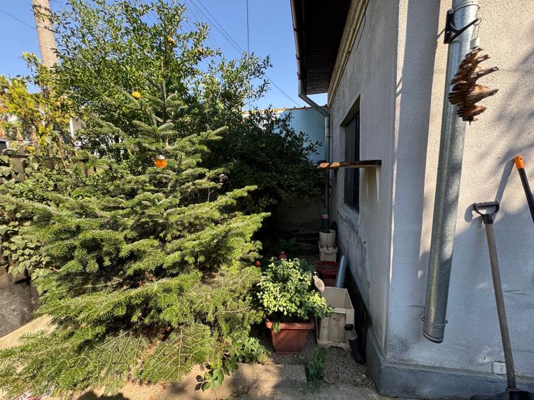 Casă cu 3 camere cu Canalizare în Doamna Ghica