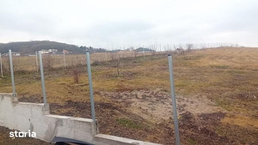 Teren de 700 mp, în Baciu