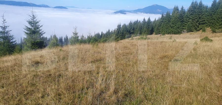 Teren Construcții extravilan de 50000 mp, în Vatra Dornei