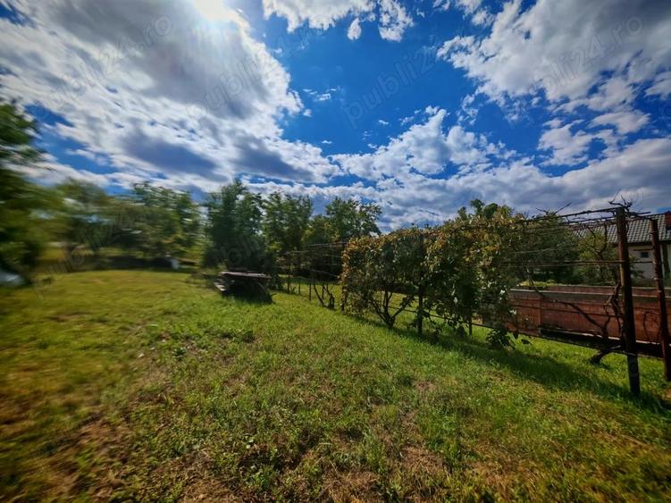 Casă cu 3 camere cu Teren 1600 Mp în Central