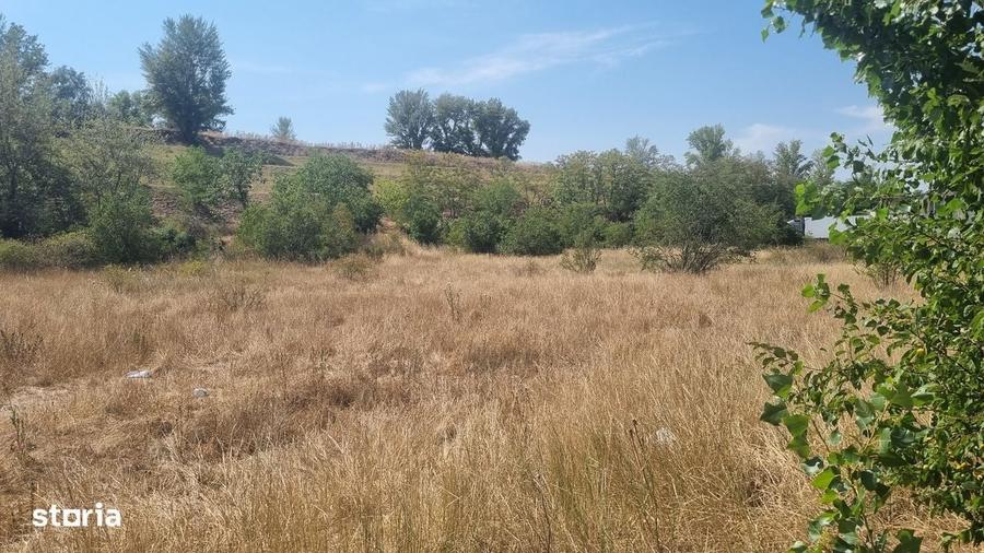 Teren intravilan cu destinatie industriala de vanzare zona Bors - 2