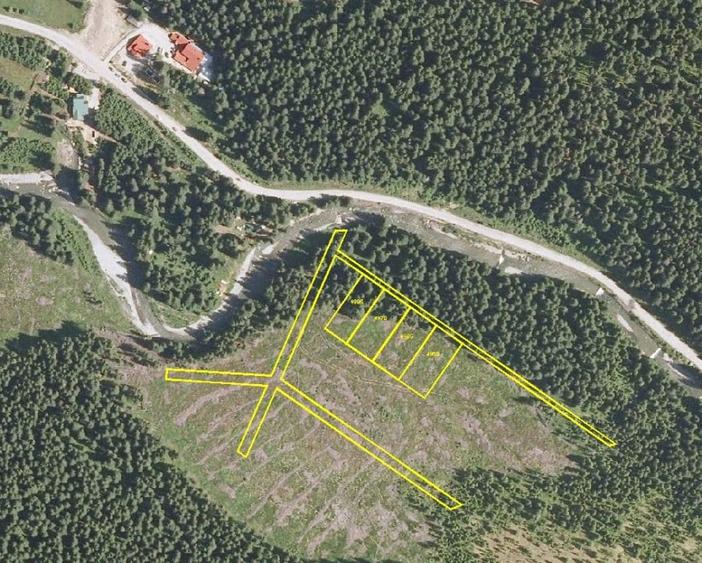 Teren Construcții intravilan de 5000 mp, în Voineasa