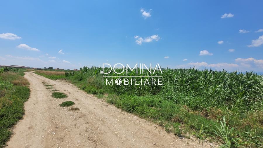 Teren Construcții intravilan de 3504 mp, în Bălești