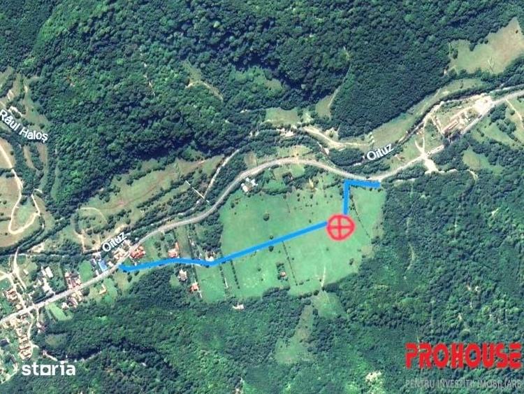 Teren de 5370 mp, în Oituz